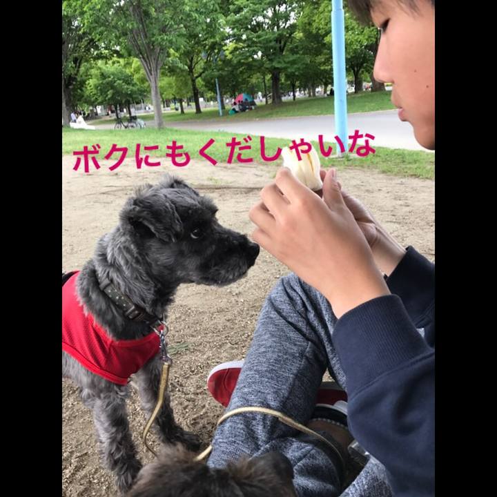 22399dd3 f770 43e0 87ee 87587369dd54