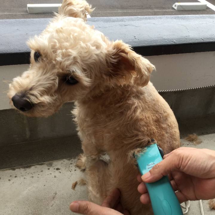 223a243d df35 4b4c ae2a 673e7eb6416d