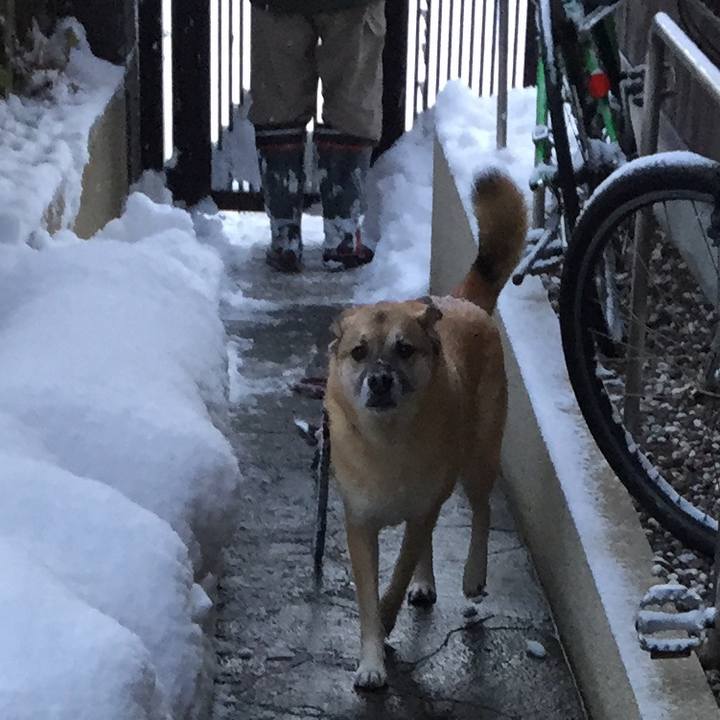 223a4e5d 4fde 4991 b1eb 7564437096de