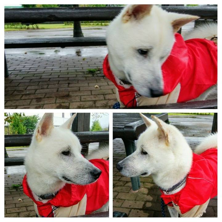 223ab5d4 28ee 4957 aaaa 70c62bfd1821