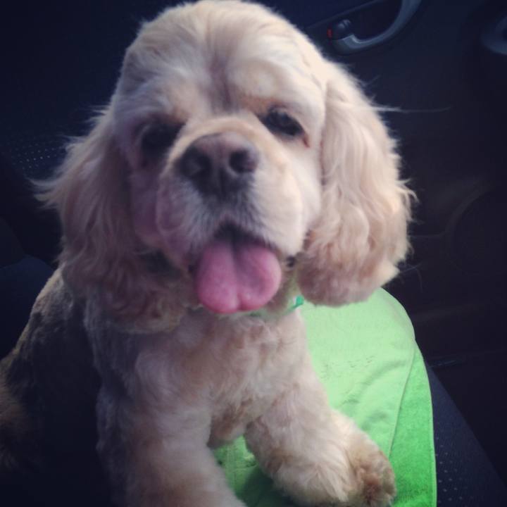 223b3840 cba2 42cf a896 f8fd9e0d2138