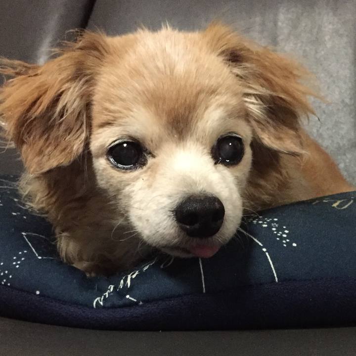 223c5a3a 74df 42b3 a1e4 08fb5f3684f9