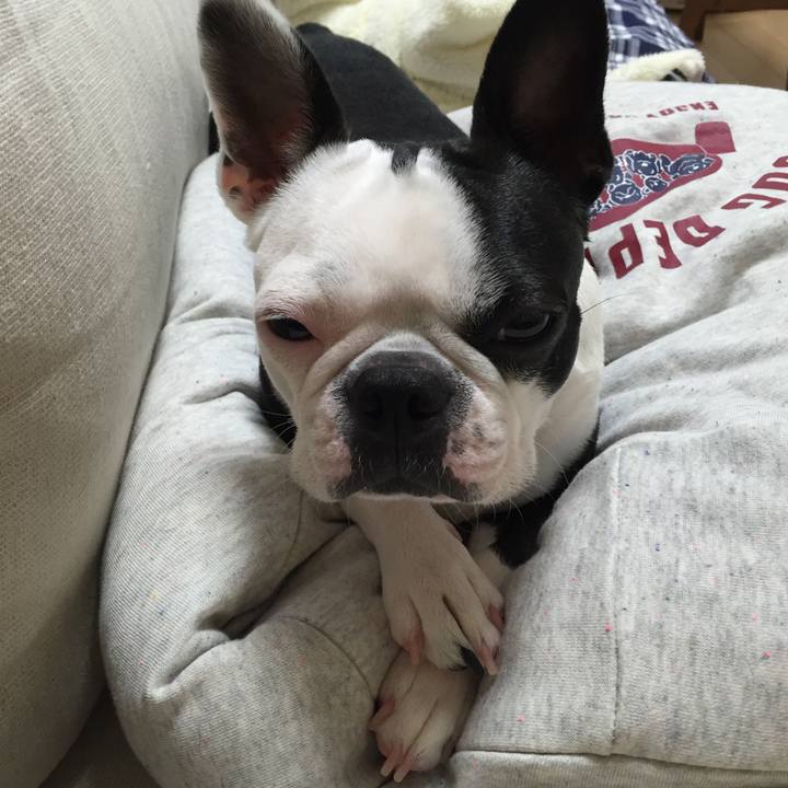 223d307d 61cc 4cbc 943a 9d74f7fa99e3