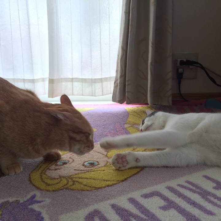 223d64f1 f420 49ba bf3e 938ba889567a