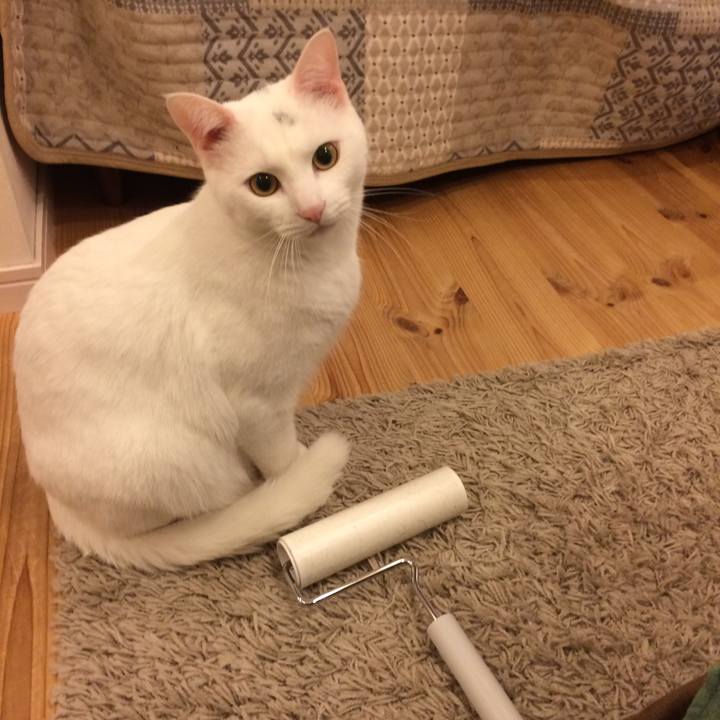 223d68a9 3898 4b2d 9321 3bec3c8827e4