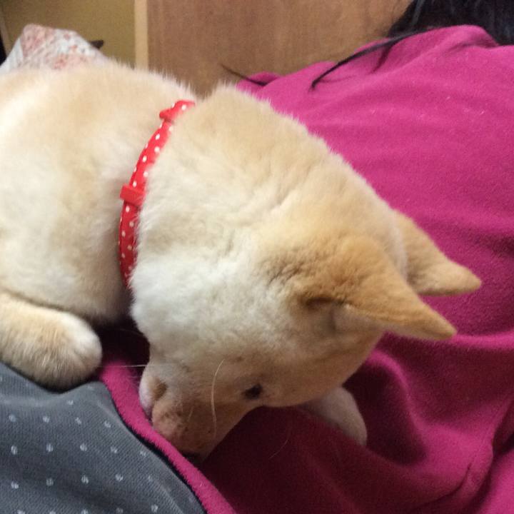 223dc21a 27f2 4666 9570 0bf4052735dd