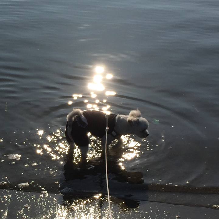 223dd95e 7a5f 4ae9 a6fd 2971f37ae095