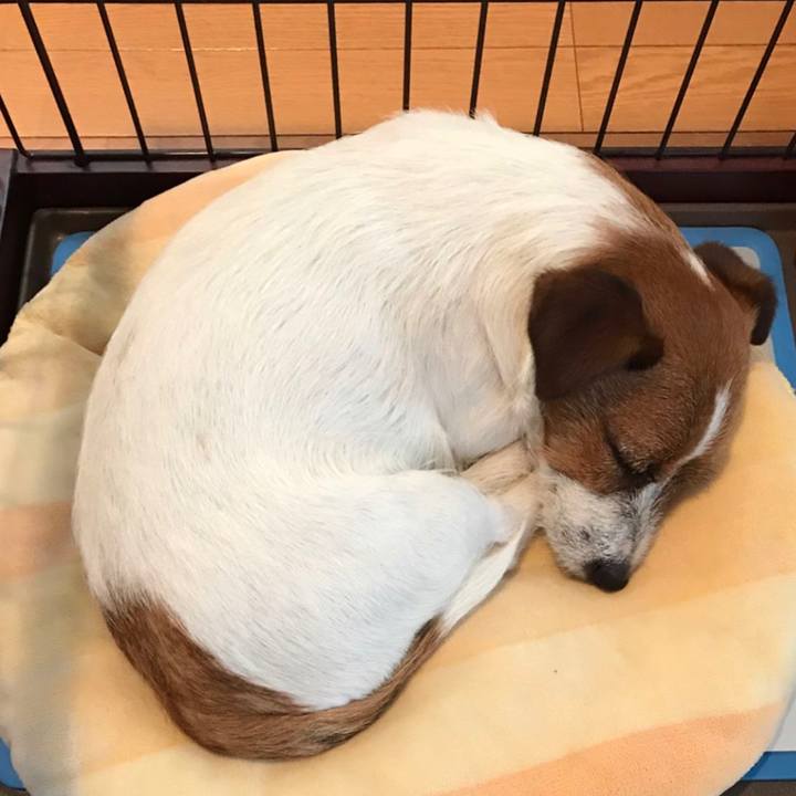 223ee690 d0b3 41ee 959e 4fa17a946551