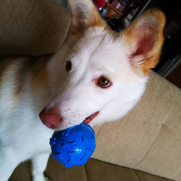 223f2e13 ab15 4b18 8261 470903d25d3f