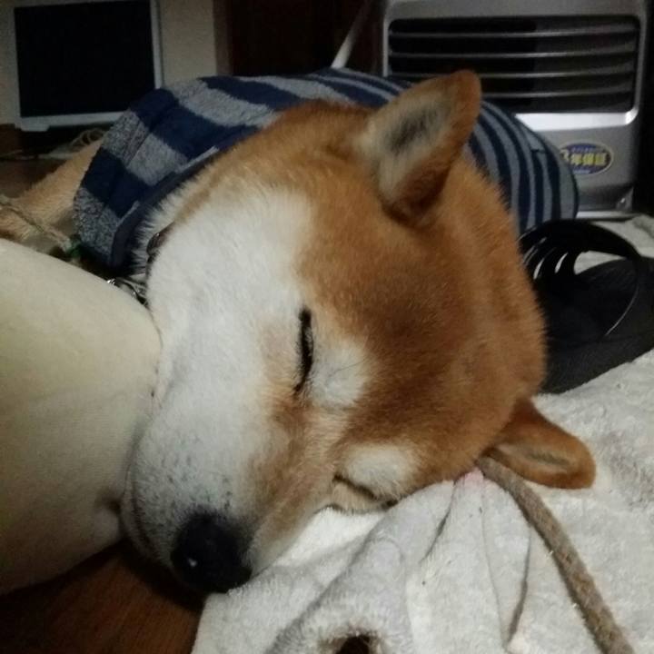 223f3400 9b2a 4a59 970f 62f428c28449