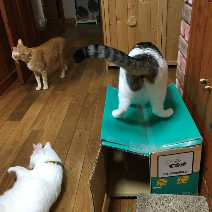 223f39f0 e46f 45d9 818a 571d0bb6af07