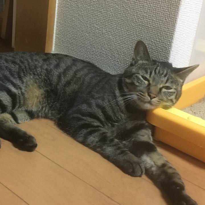 223fe31c 7ff9 4176 b8d1 89d8770ddcc5