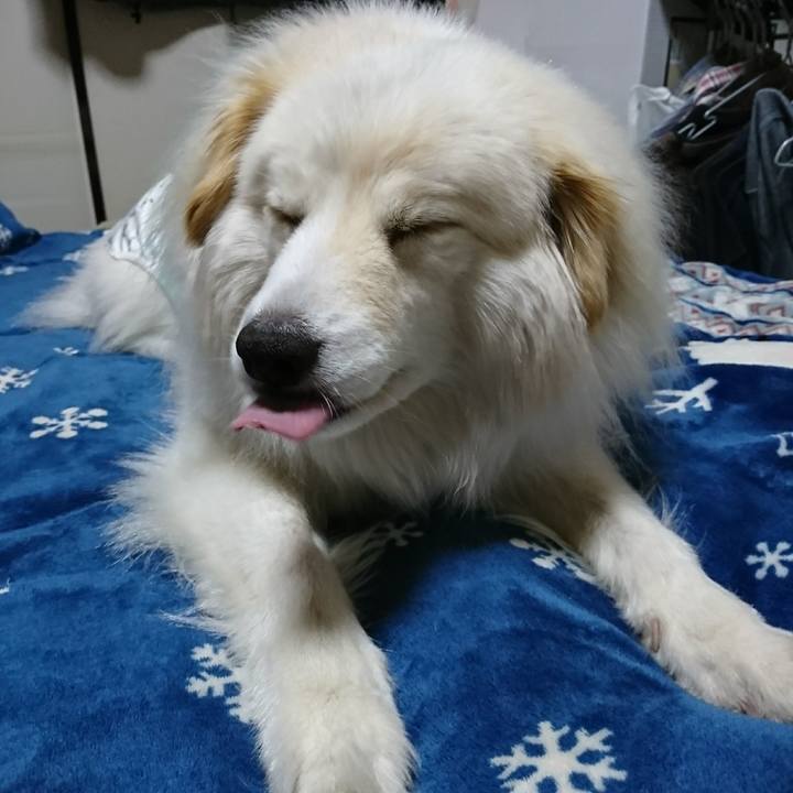 2240ef89 3440 4692 82b8 98e2b7a723ab