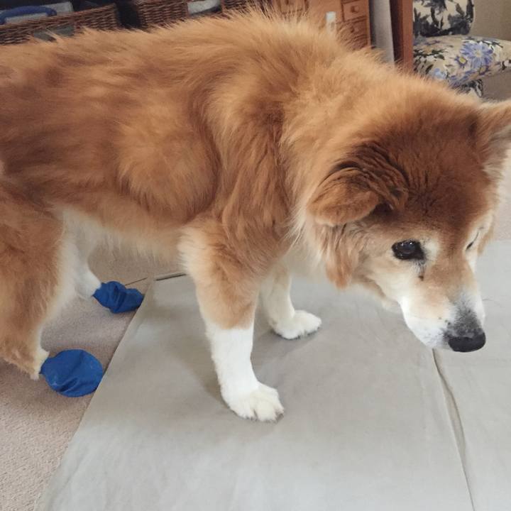 22412cbf 59d9 4129 ae94 4a403f0f10cb