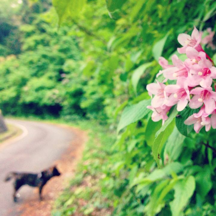 2241e291 d030 4016 97a2 3f9098758220