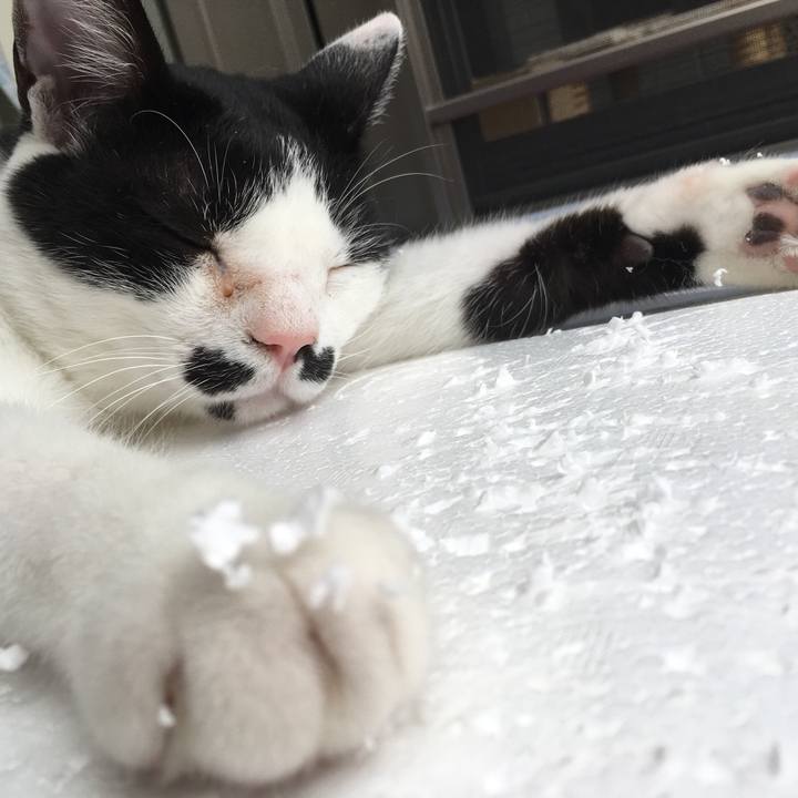 224267f6 4dfb 441a 9163 f96639e1fe63