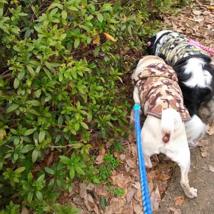 22426c3b 01dd 452d a93e a6e002c61250