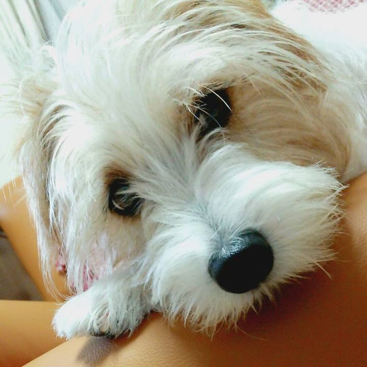 2242904c eb68 4671 bdd2 64f737235882