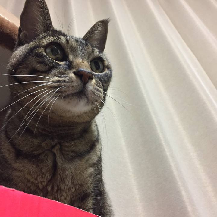 22429233 9acd 47f6 babc e8221400f5c7