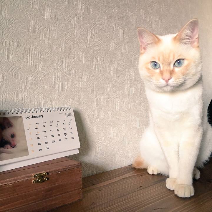 2242bd96 e2a6 4663 a787 67815def48b9