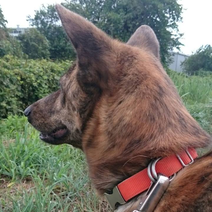 22436f97 9a95 4d15 8bce 1707f44ae3a7