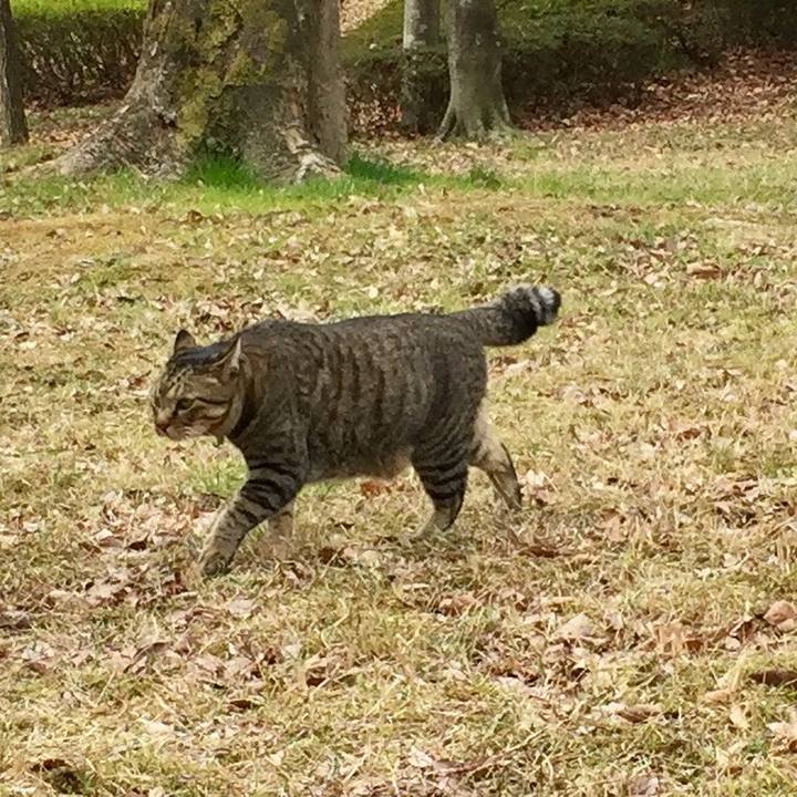 2243d359 f1cf 42de a0cc 88467e837694