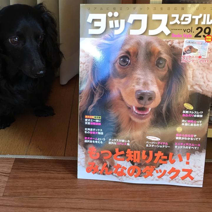 2243fa78 9939 480d bf36 e65deea33cf5