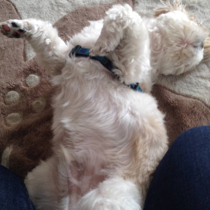 22443f24 ee3f 4982 a1b1 1d78c7b15e70