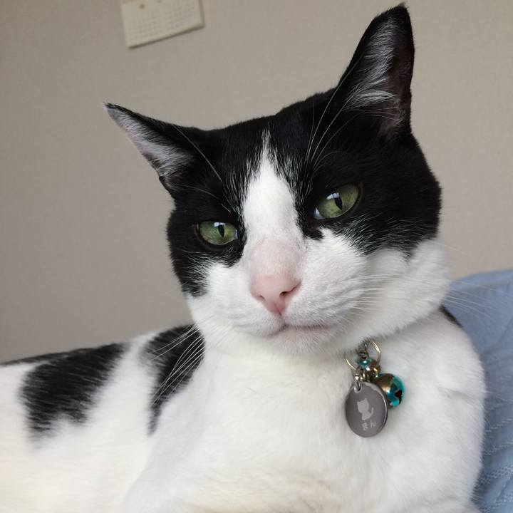 224481f0 293c 4fc1 9143 db108c15237e