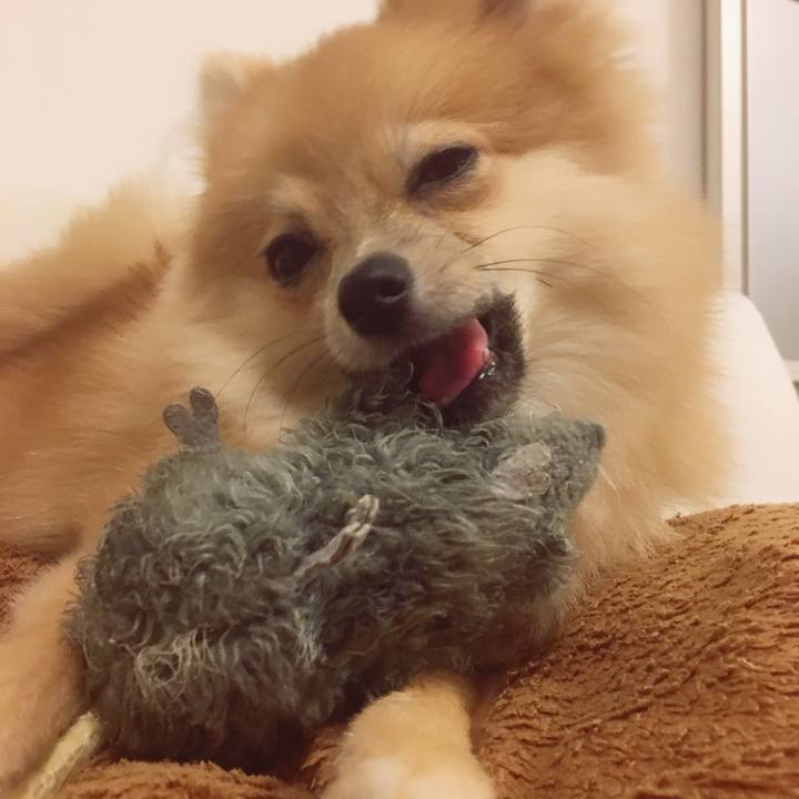 2244df43 9abf 47b3 b25b d356f852cc2e