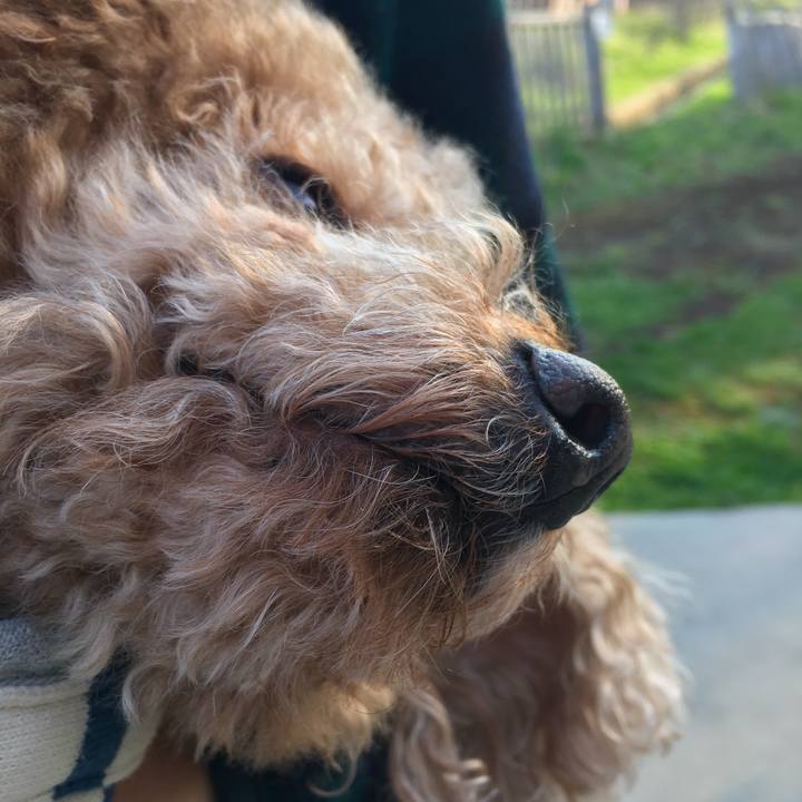 224555af 2818 4e47 afb2 e8b75c4f3368