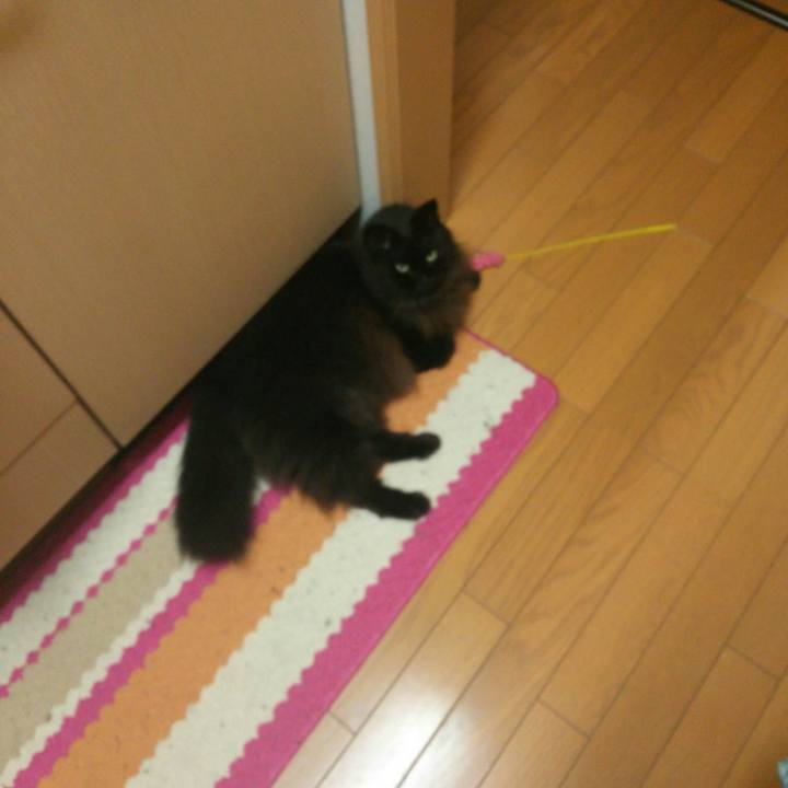 2245a44a a033 41c4 ae9d c2c1c9ccde9a