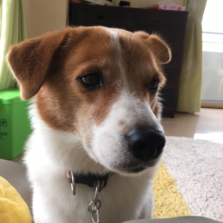 224672d4 7ad9 4485 8813 9a26d7f7fa31