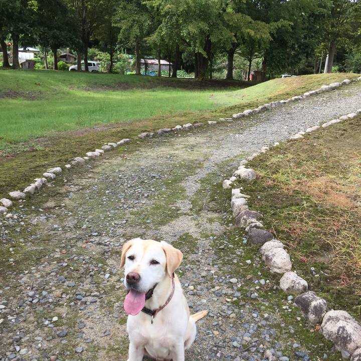 22469e1b d08c 4624 a213 18c26764a781