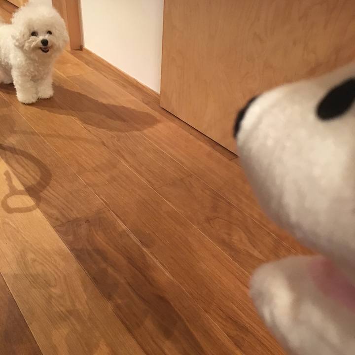 22470b05 f006 4176 8da8 a70ed2ea24f8