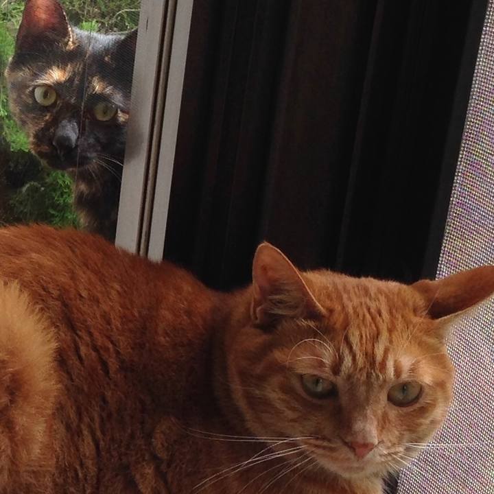 224794bc 2250 46a2 9ec7 d172a6295c64