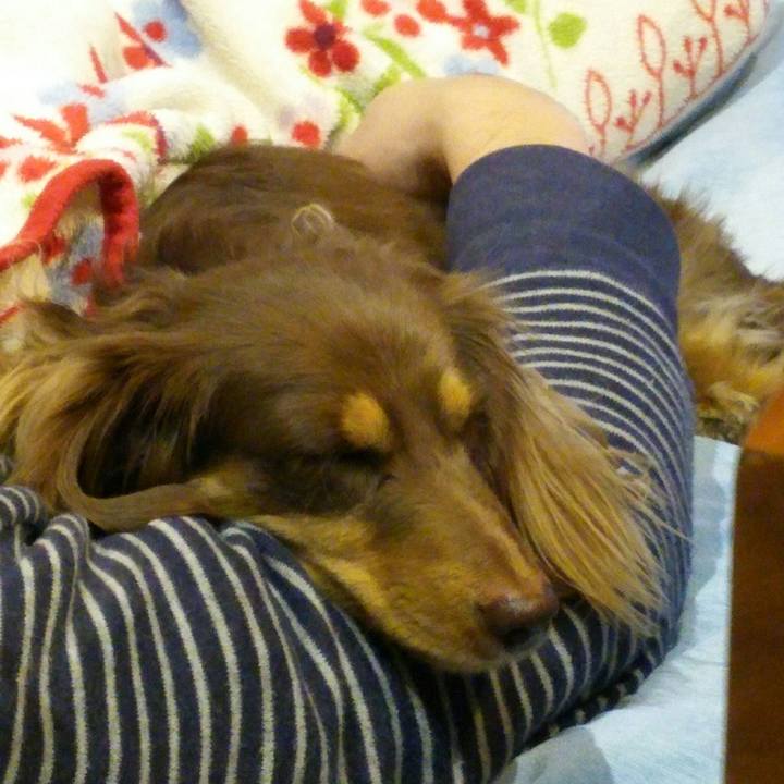 2247a63b c8c1 4b43 bce4 5d460810c98d