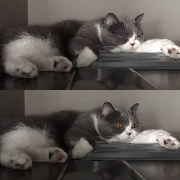 22483965 2693 4c91 946b caf42e85d231