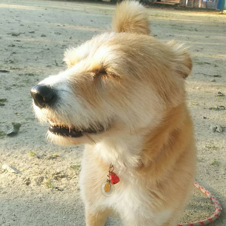 224852a4 1147 40c2 8840 df7cb1c96935