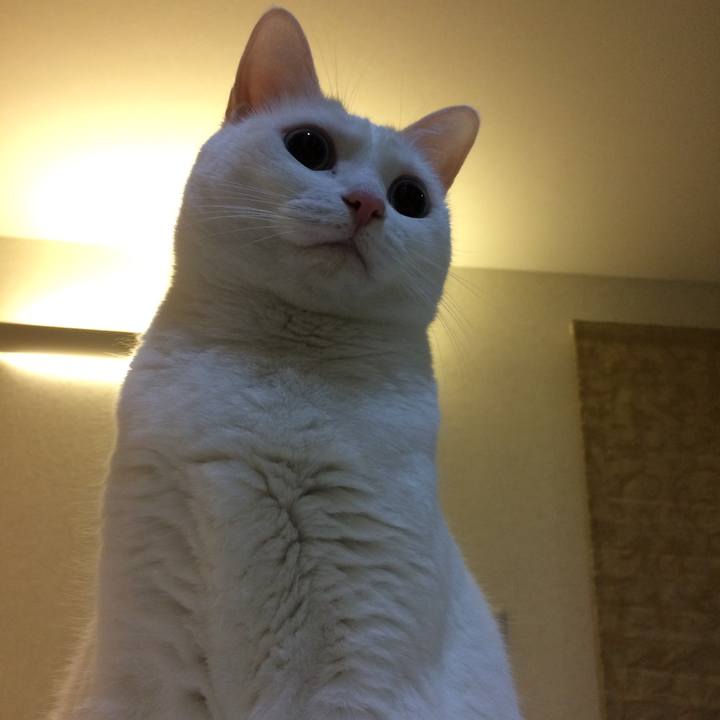 2248ffa8 1a43 42d8 8882 c1a02e3e2fef