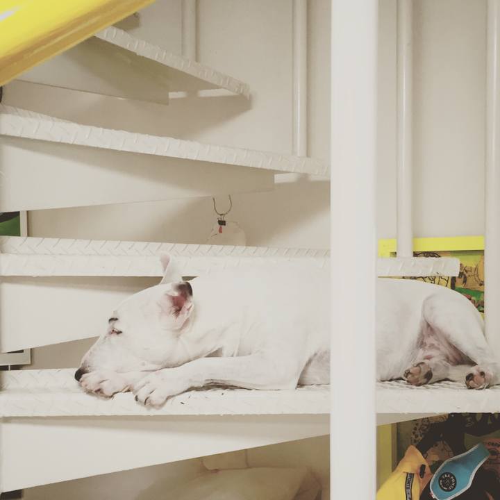 22491560 db84 48c4 a3b5 a6635c59de0b