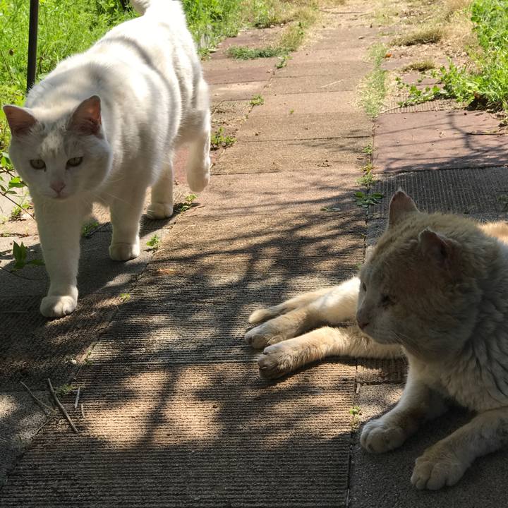 22492ff5 d802 487e aab8 10c9f691d42a