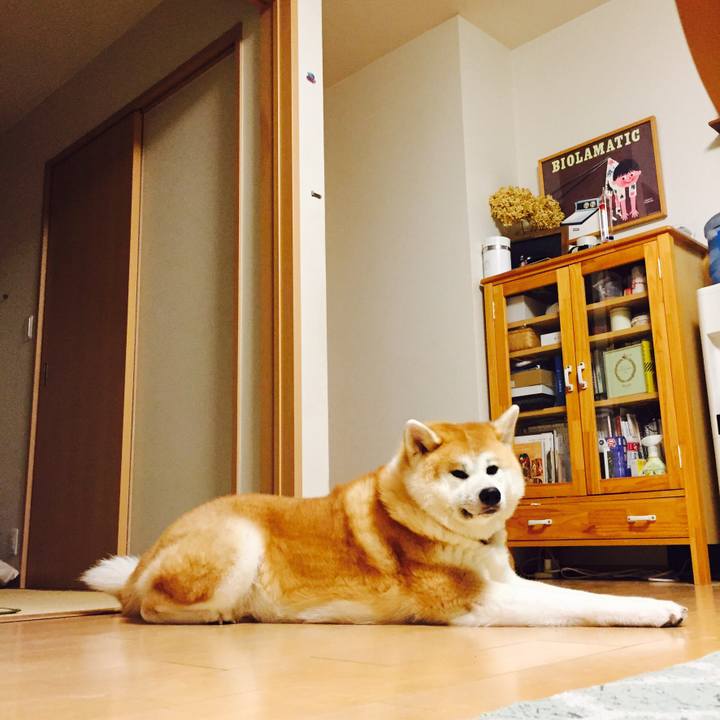 2249c0e6 b689 4e43 9d22 ca06967dd4cf