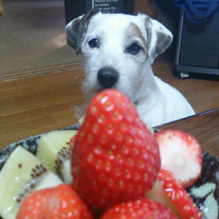 224a2a33 221e 470e 9e7d 3b0100901bc6