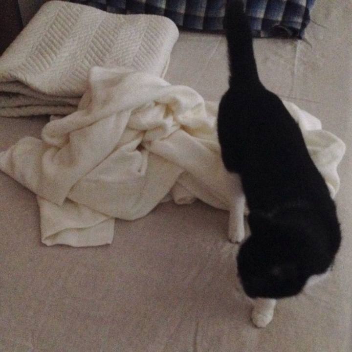 224a39a8 9823 4fdb 9e16 c540951d03a7