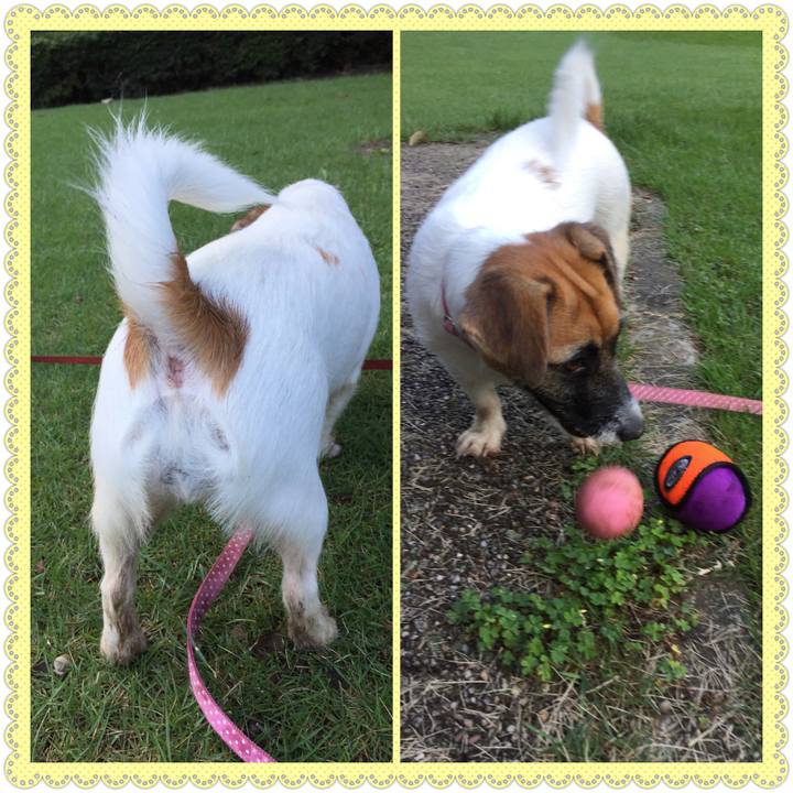 224ab5ac f7c9 4f84 a502 a1c536158a24