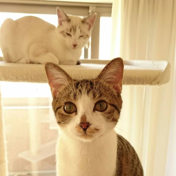 224ac7c8 55b4 4d1d 9bc0 56de06b232f9