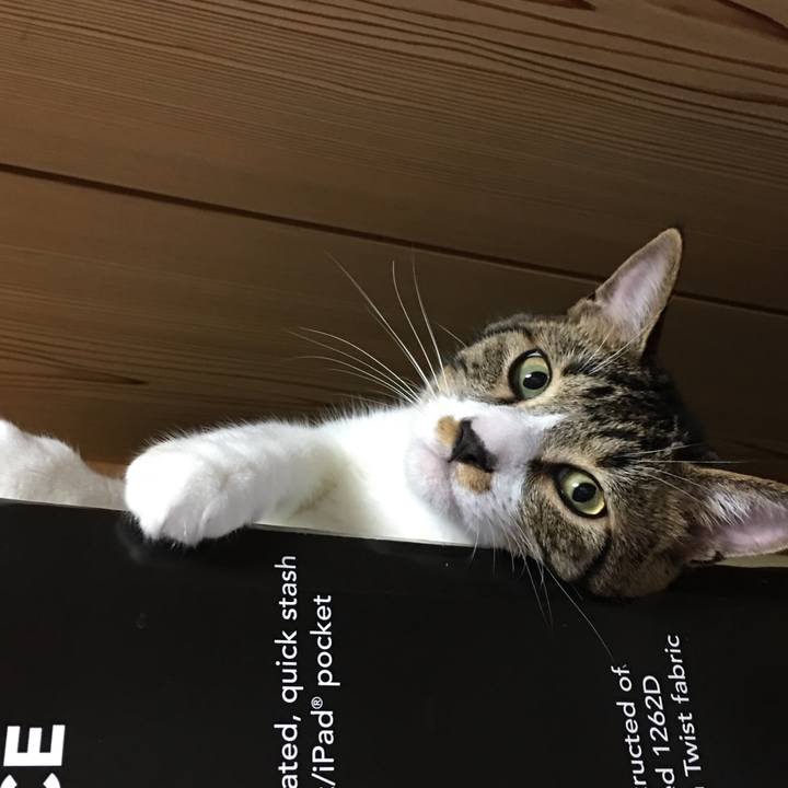 224ace07 f3ce 4fec b86f 0b6df8e7f930