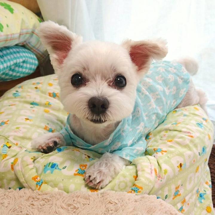 224b4cdf e30d 46f3 a209 1288c37e7a88