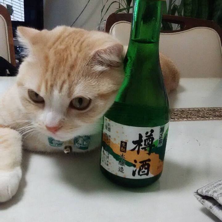 224b6677 d3ea 4f35 9623 35dbfca08220